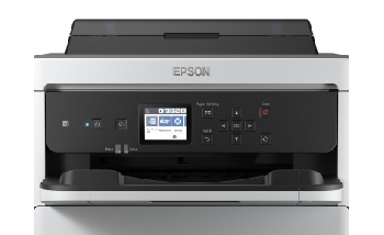 Струйный принтер Epson WorkForce Pro WF-C5290DW (C11CG05401)